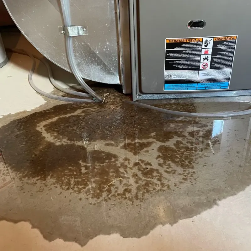 Pipe Burst and Leak Restoration in Gonzales County, TX